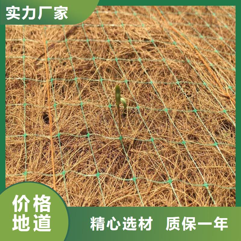 加筋抗冲生物毯-护坡抗冲植草毯-椰丝环保草毯