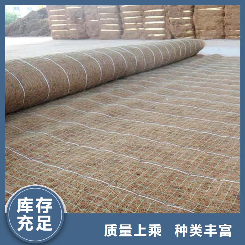 中齐建材-<中齐> 当地 椰纤植生毯-椰丝绿化毯-护坡椰丝毯