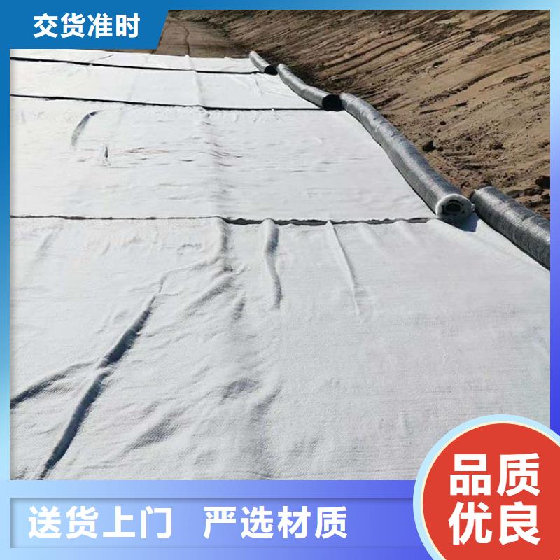 【膨润土防水毯】双向塑料土工格栅常年出售