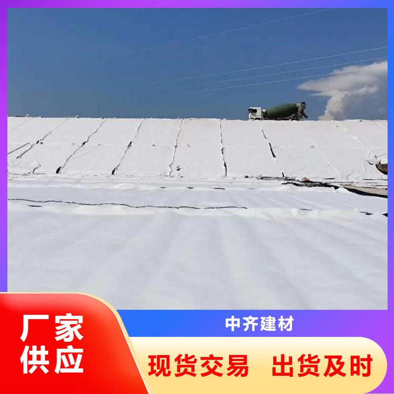 膨润土防水毯,塑料土工格栅放心购