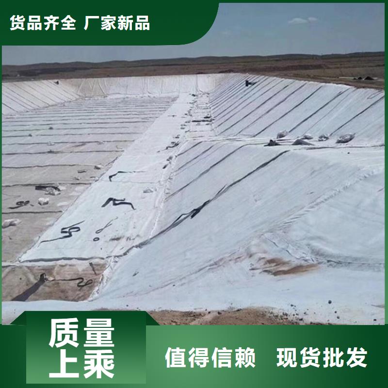 膨润土防水毯塑料土工格栅大量现货供应