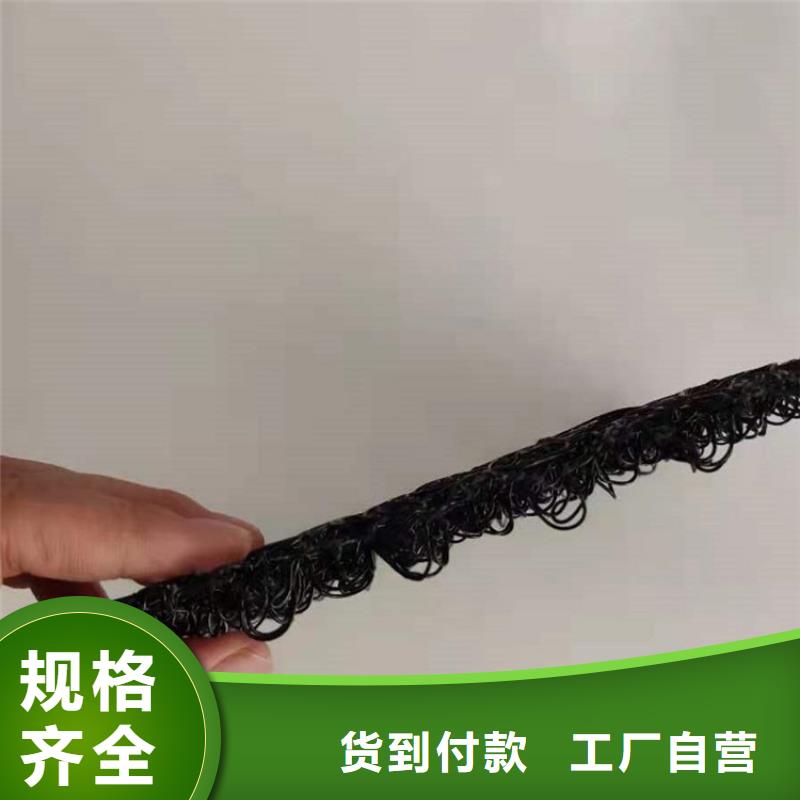 水土保护毯-拉筋带推荐厂家