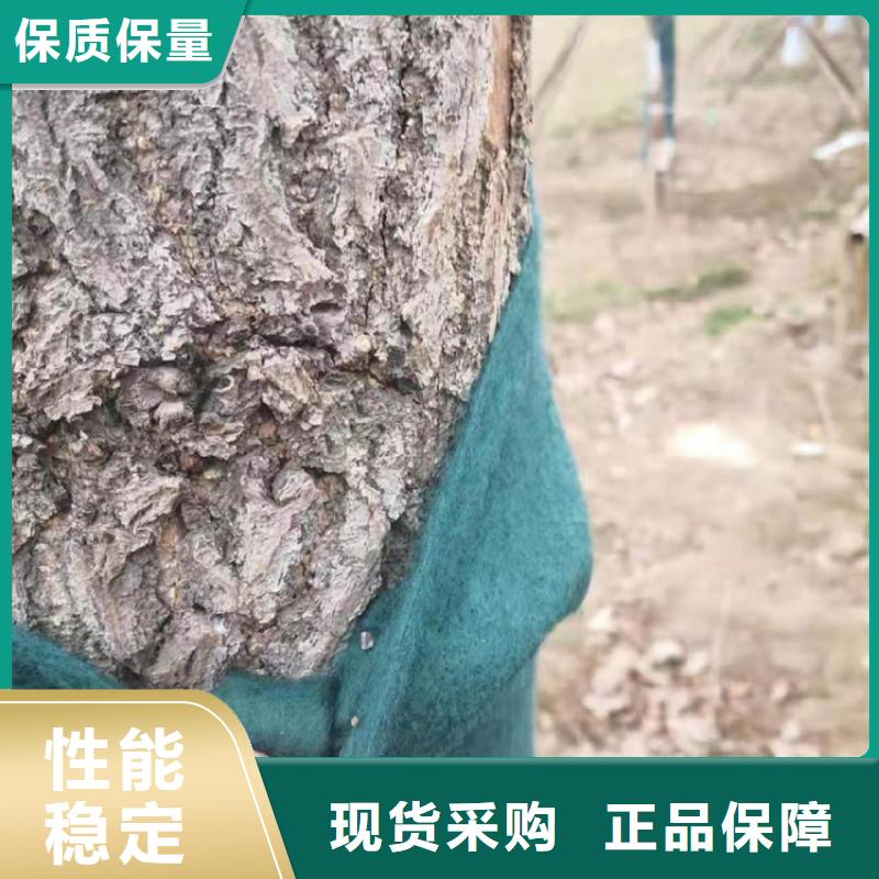 裹树布聚酯玻纤布满足多种行业需求