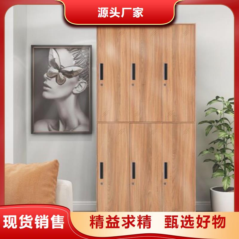 铁制更衣柜双柱钢制书架