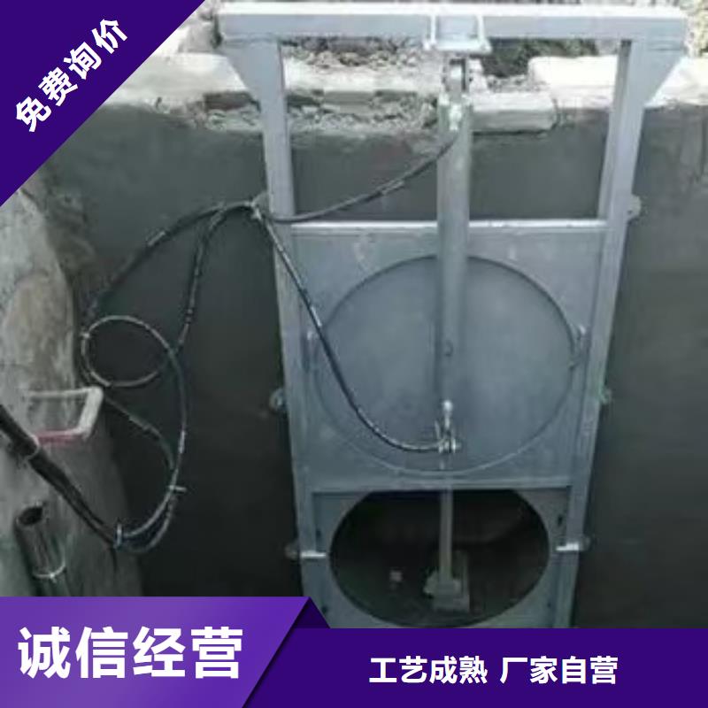 西藏品质服务诚信为本[瑞鑫]错那县雨水泵站闸门