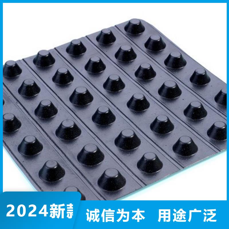 订购【朋联】塑料排水板本地公司