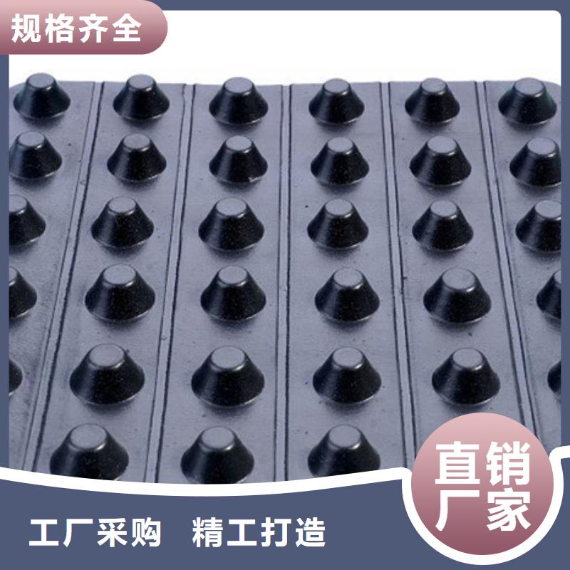专业生产品质保证【朋联】塑料排水板本地公司