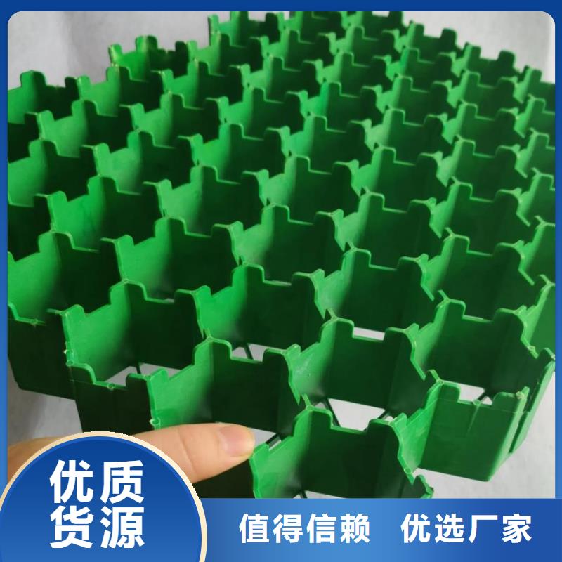 植草格【防护虹吸排水收集系统】工厂直销