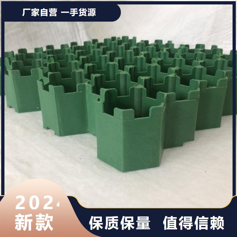 塑料植草格2024新行情价