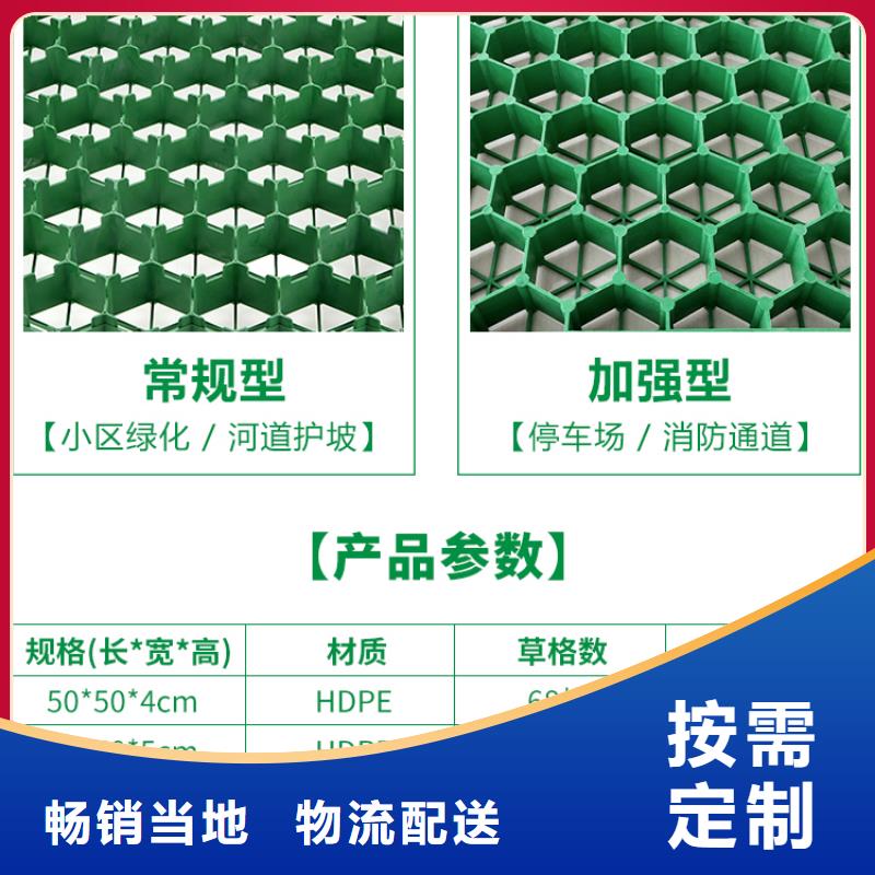 朋联塑料植草格-规格全专业生产N年