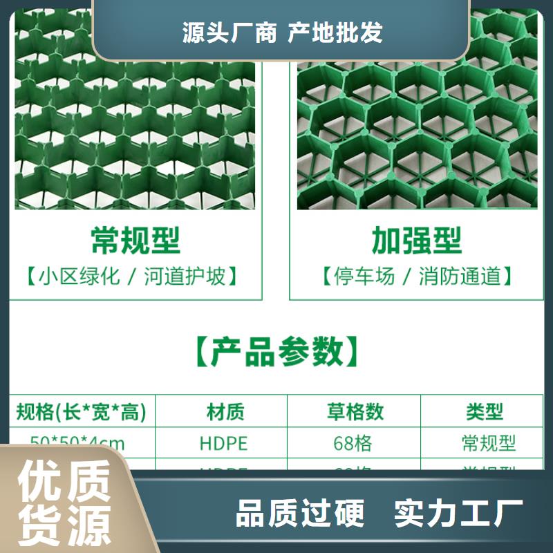 支持定制加工【朋联】塑料植草格*生产厂家