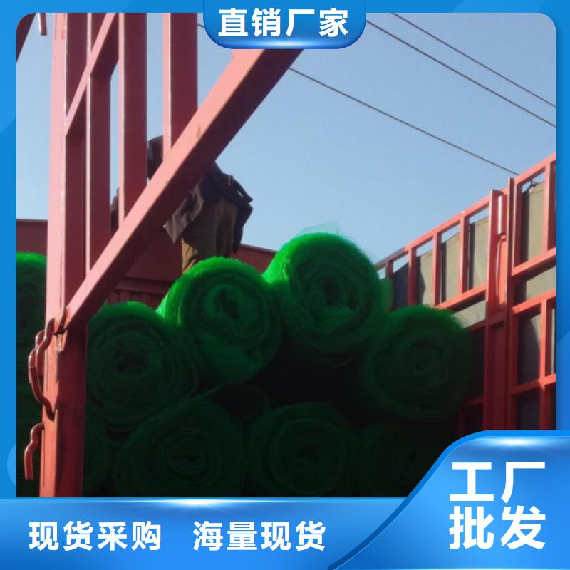 【三维植被网防护虹吸排水收集系统打造好品质】