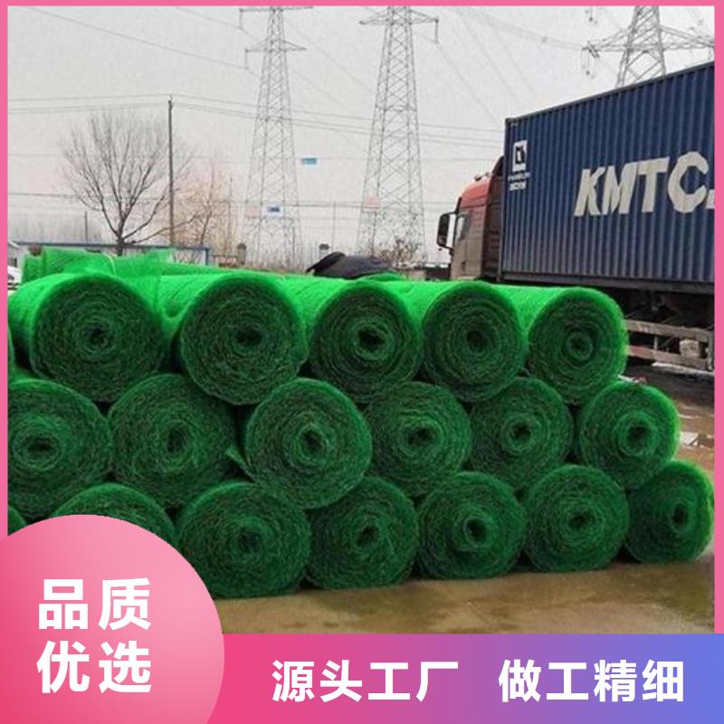 三维植被网排水板用心服务