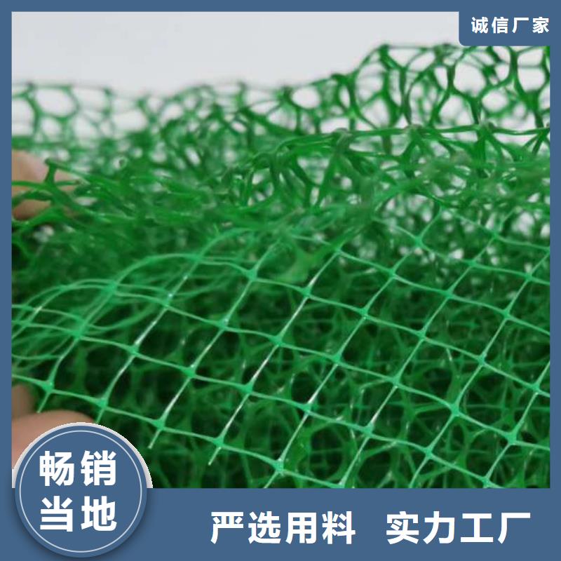三维植被网排水板用心服务