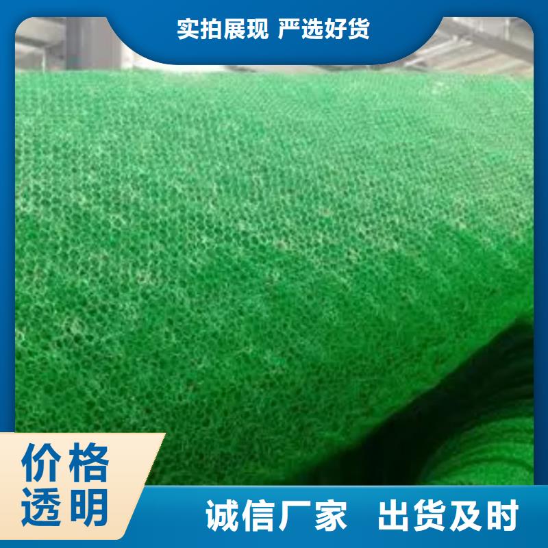 三维植被网【防护虹吸排水收集系统】注重细节