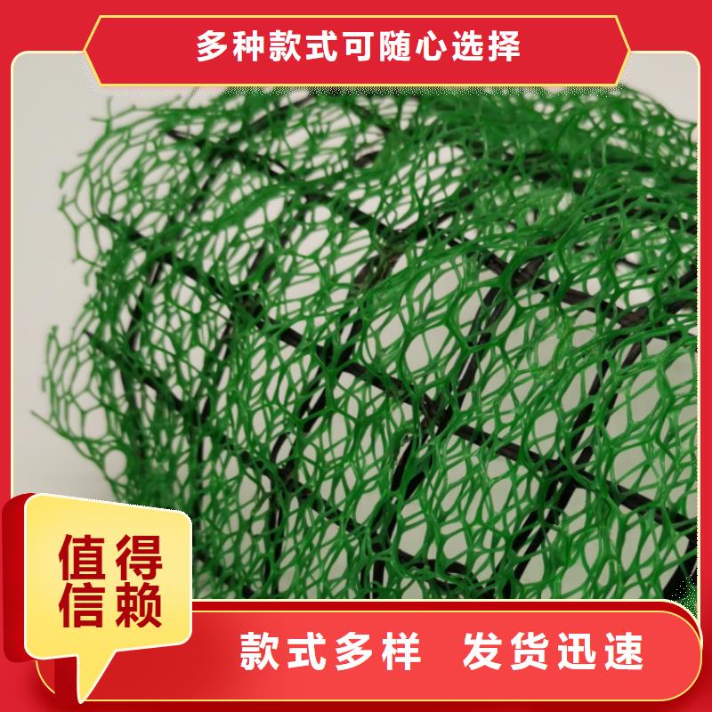 三维植被网防护虹吸排水收集系统24小时下单发货