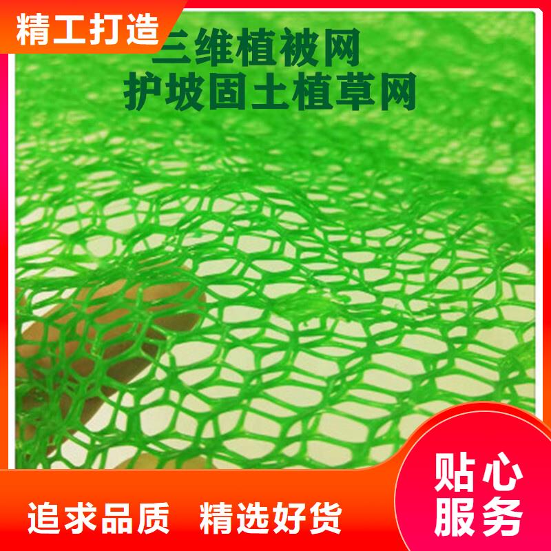 三维植被网排水板用心服务