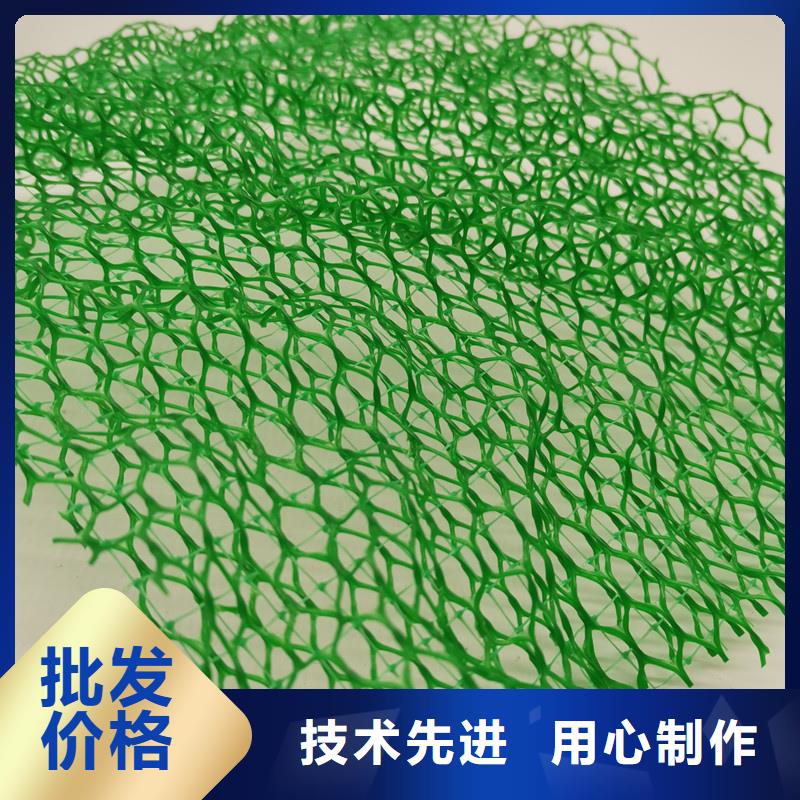 三维植被网-排水板定制零售批发
