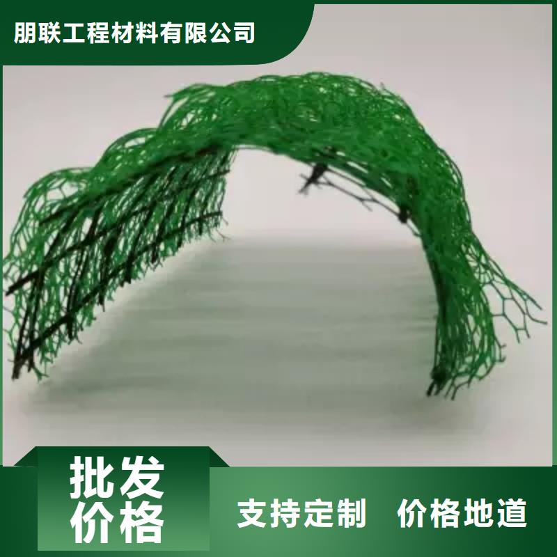 【朋联】三维植被网厂家定制价-朋联工程材料有限公司