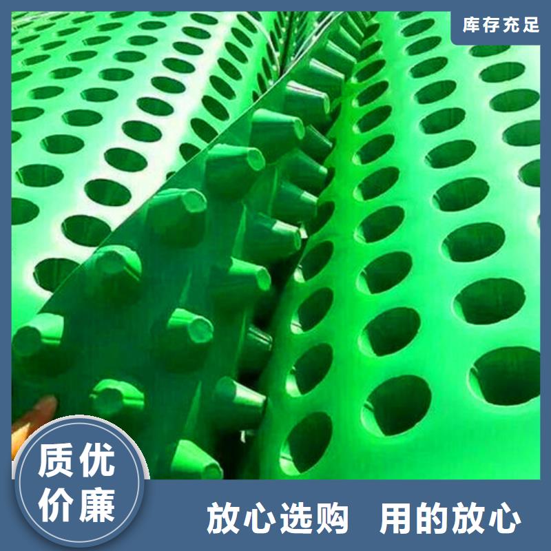 塑料透水疏水板-生产厂家