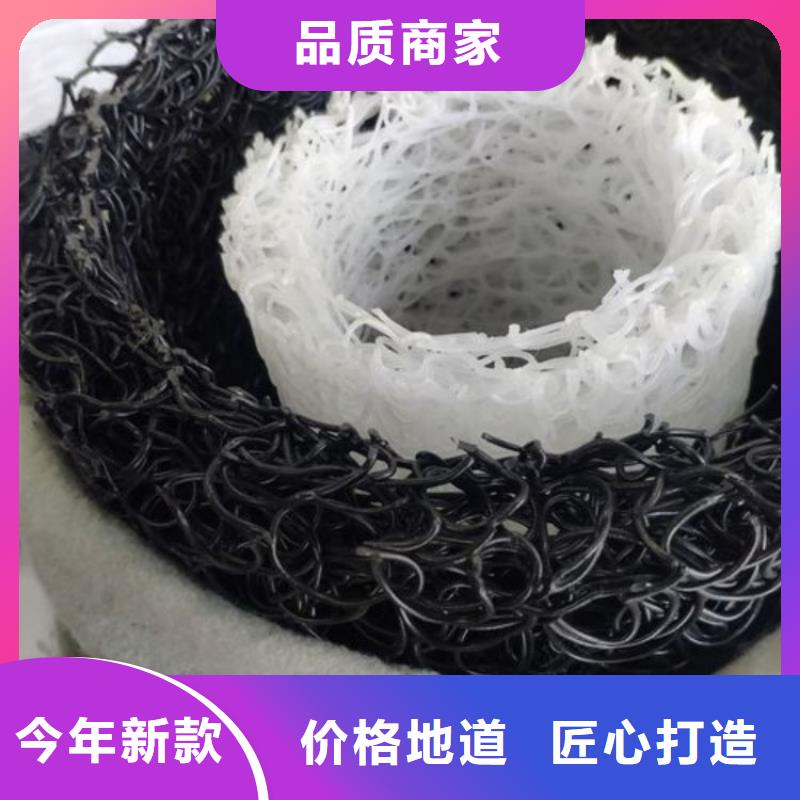 塑料盲沟三维植被网设备齐全支持定制