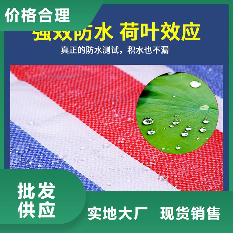 采购(鑫鑫)防雨防水塑料布现货直销厂家