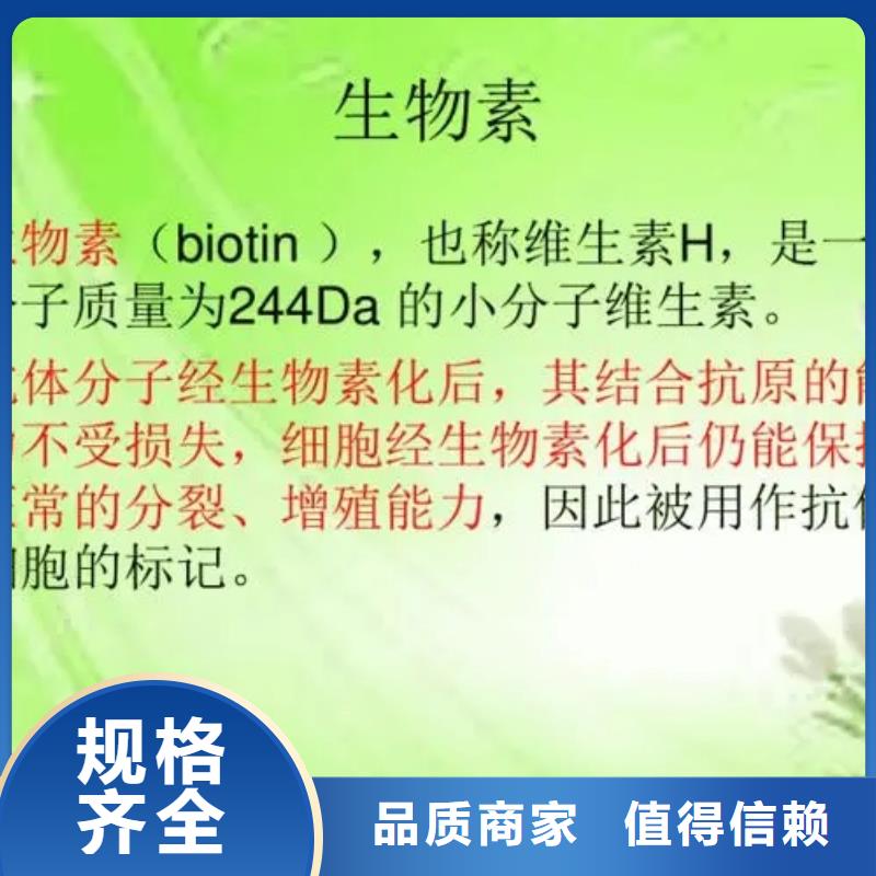 维成素B7使用方法