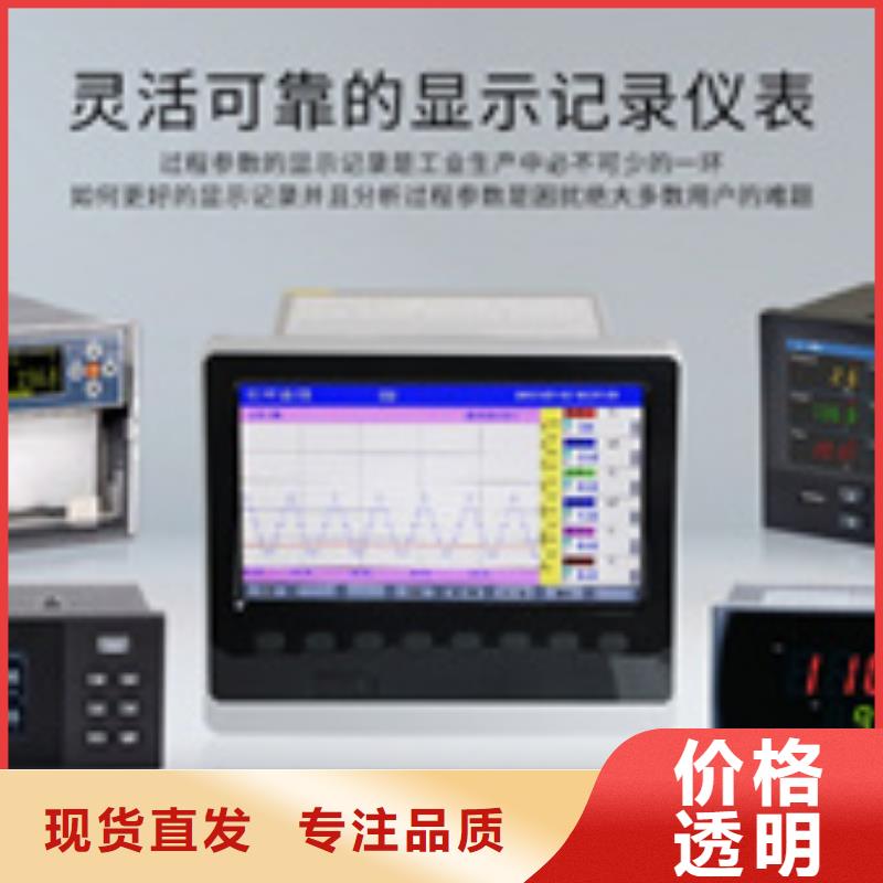 WP-C901智能数字/光柱显示控制仪生产厂家