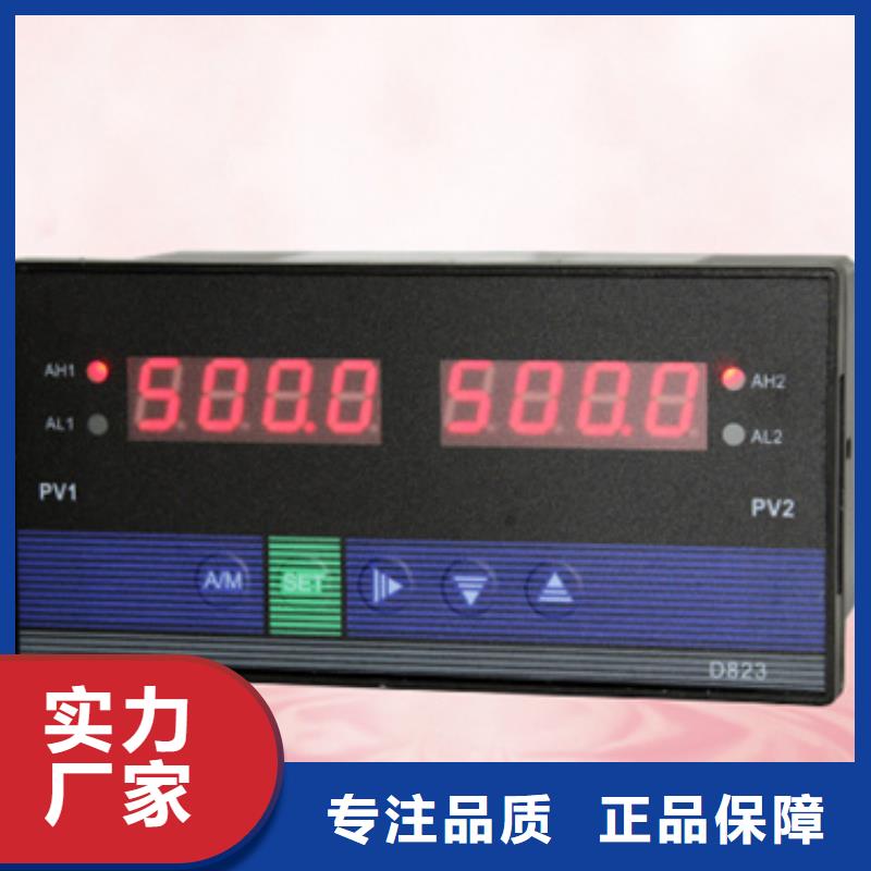 供应PDS485H-1ES44CC-AA03-D1DN/G61认准索正自动化仪表有限公司