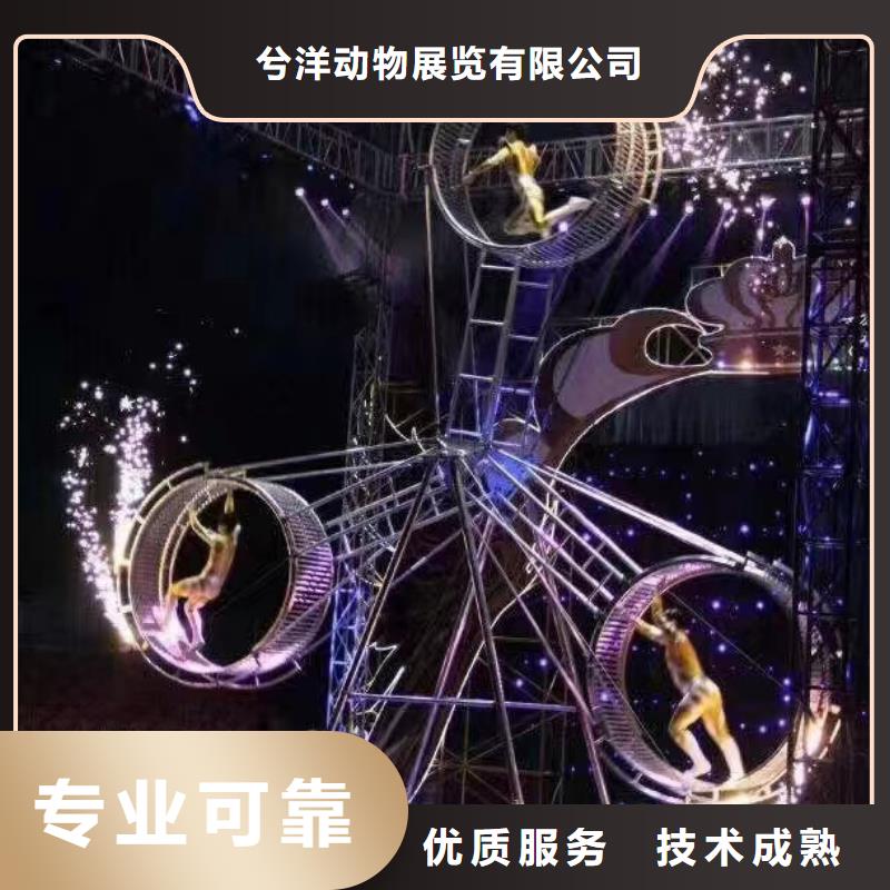 马戏团/羊驼出租海狮表演技术可靠