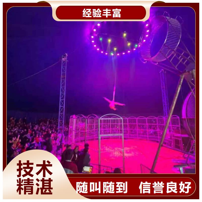 马戏团/羊驼羊驼出租专业可靠
