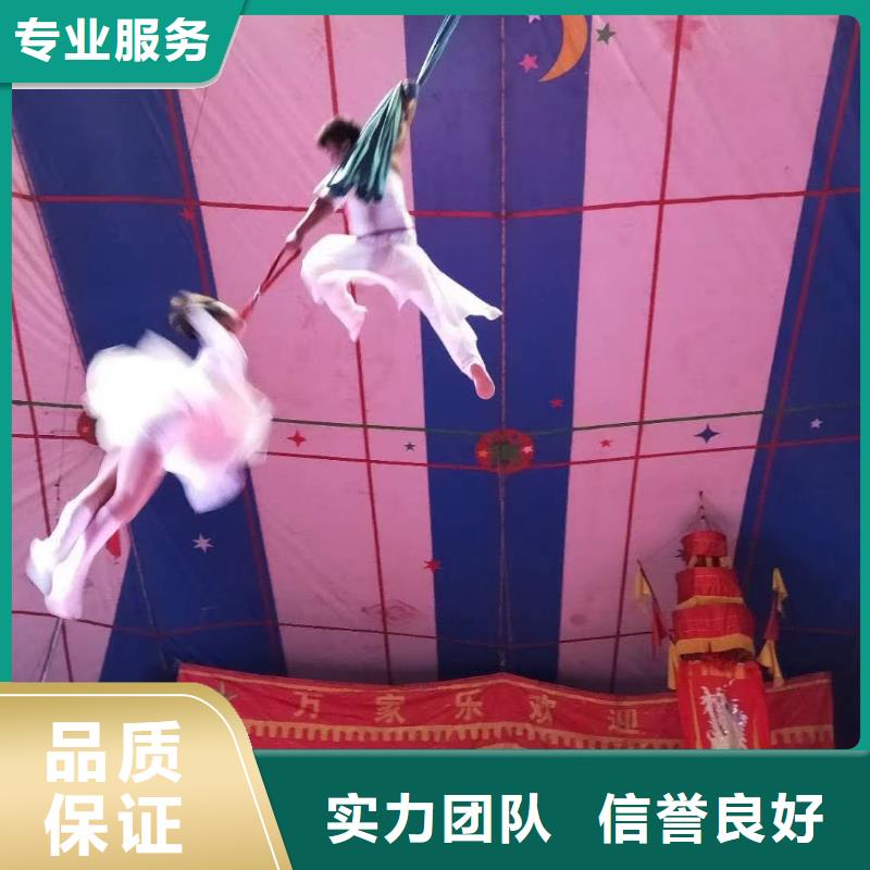 哪里有出租马戏团表演的周边