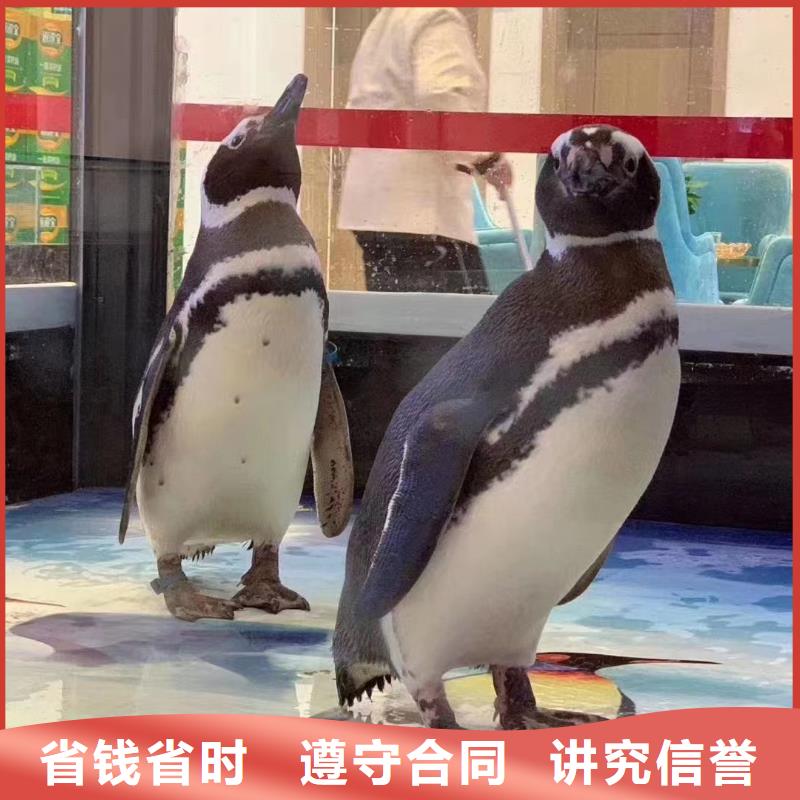 海洋生物展租赁公司资源丰富