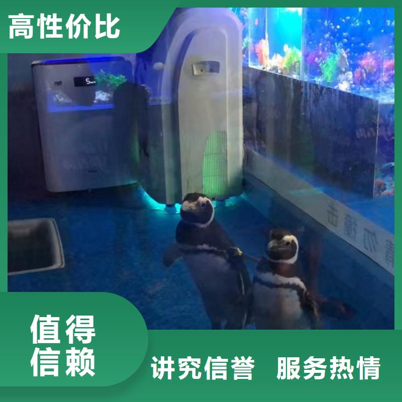 海洋生物鱼缸展出租一手资源