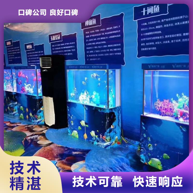 海洋主题动物表演水族海洋展多年行业经验