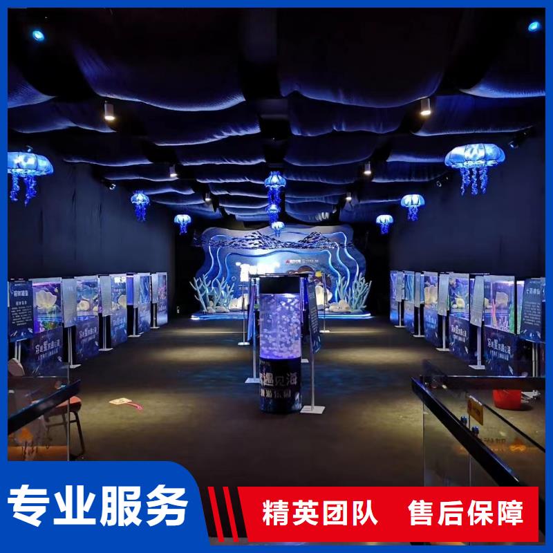 海洋主题动物表演小马戏表演出租多家服务案例