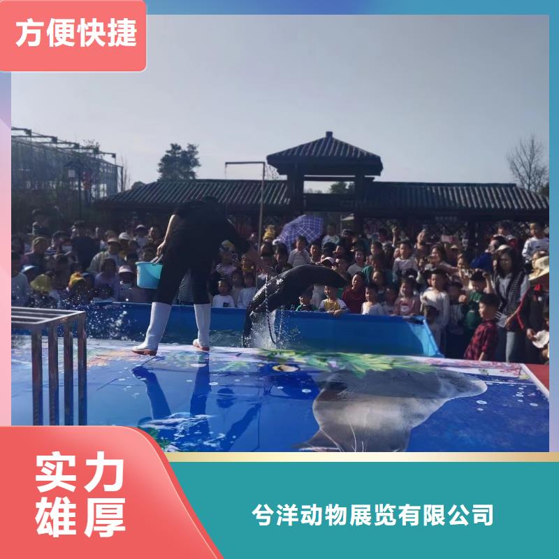 海洋生物展出租