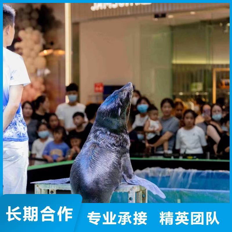 海洋生物展出租公司活动方案