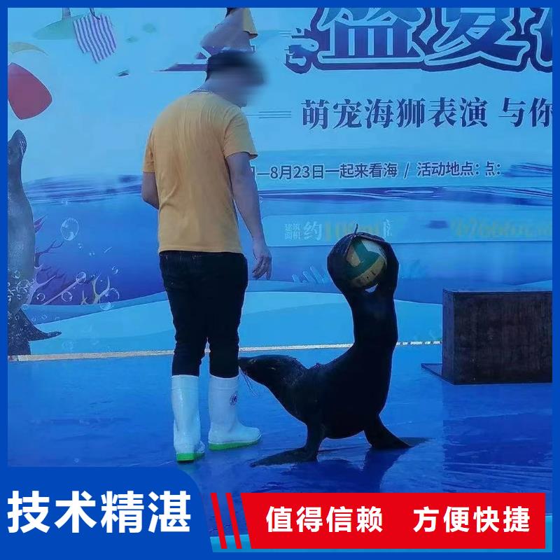 海洋生物鱼缸展出租一手资源