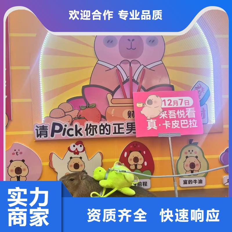 策划活动-超低价格