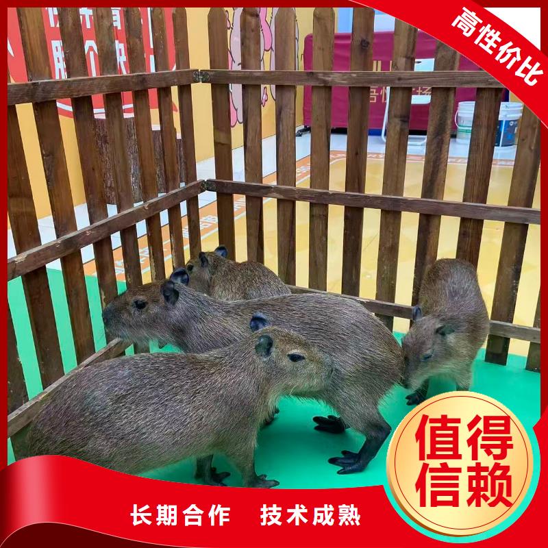 策划活动-超低价格