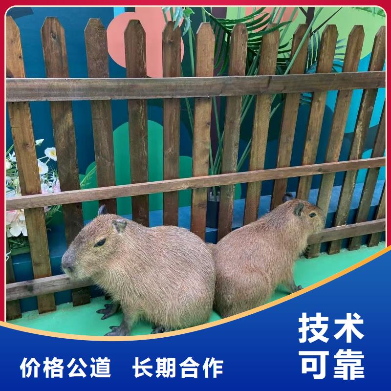 策划活动-超低价格