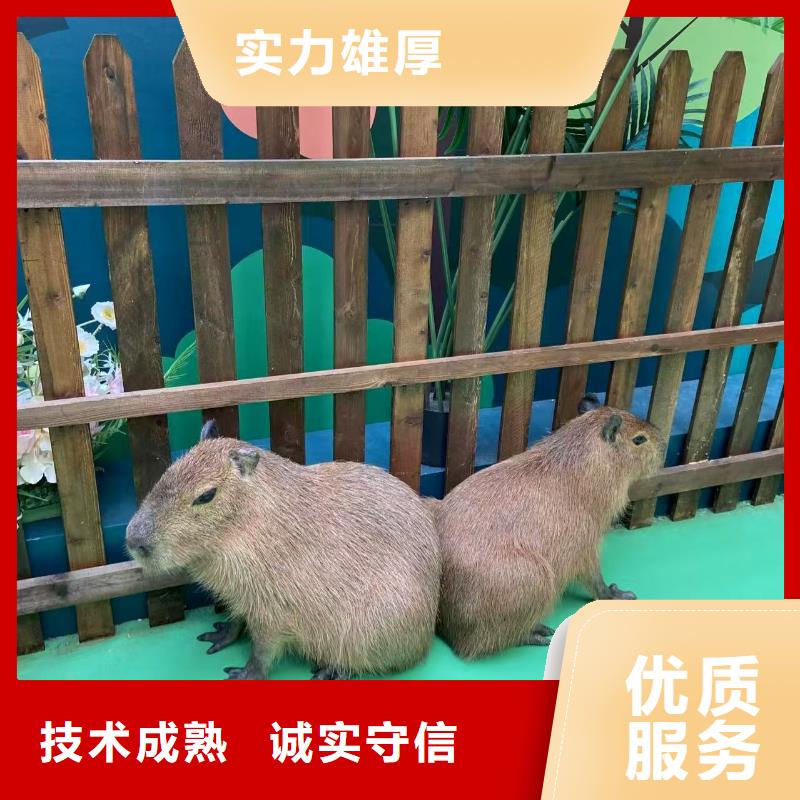 策划活动-超低价格