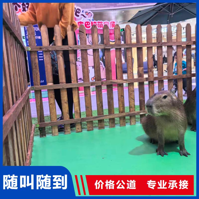 策划活动-超低价格