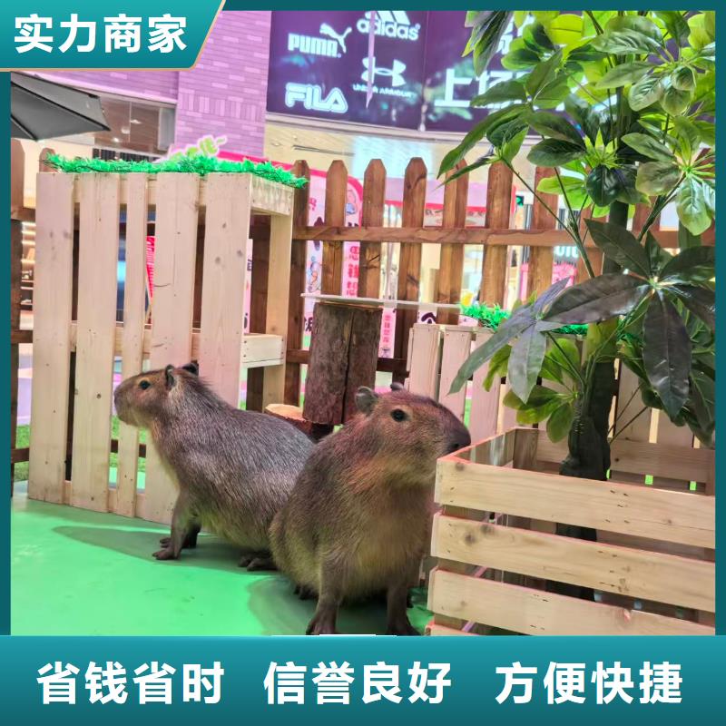 策划活动-超低价格