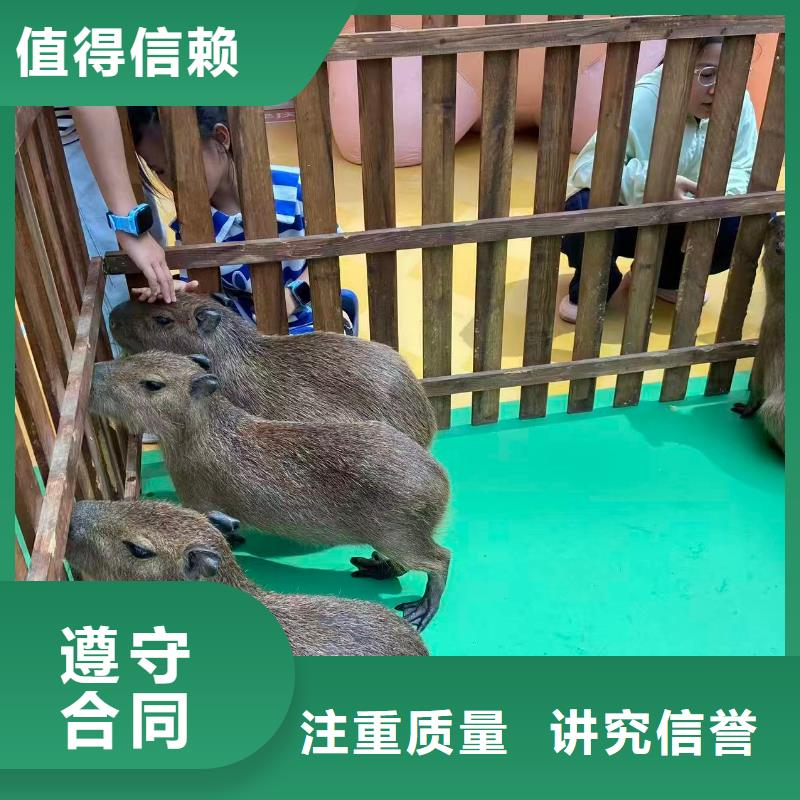 策划活动-超低价格