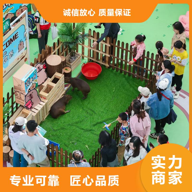 策划活动-超低价格