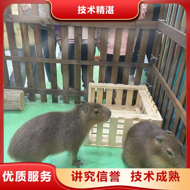 策划活动-超低价格