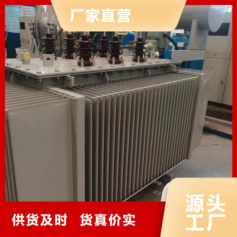 定安县变压器厂家SH17-315KVA10/0.4KV非晶合金油浸式变压器多少钱一台