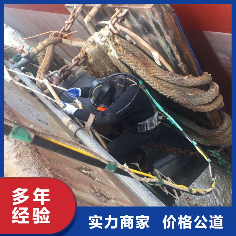 北京市水鬼蛙人施工队伍-桥桩桩基水下检测 增创优势